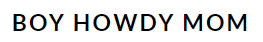 boy howdy mom blog
